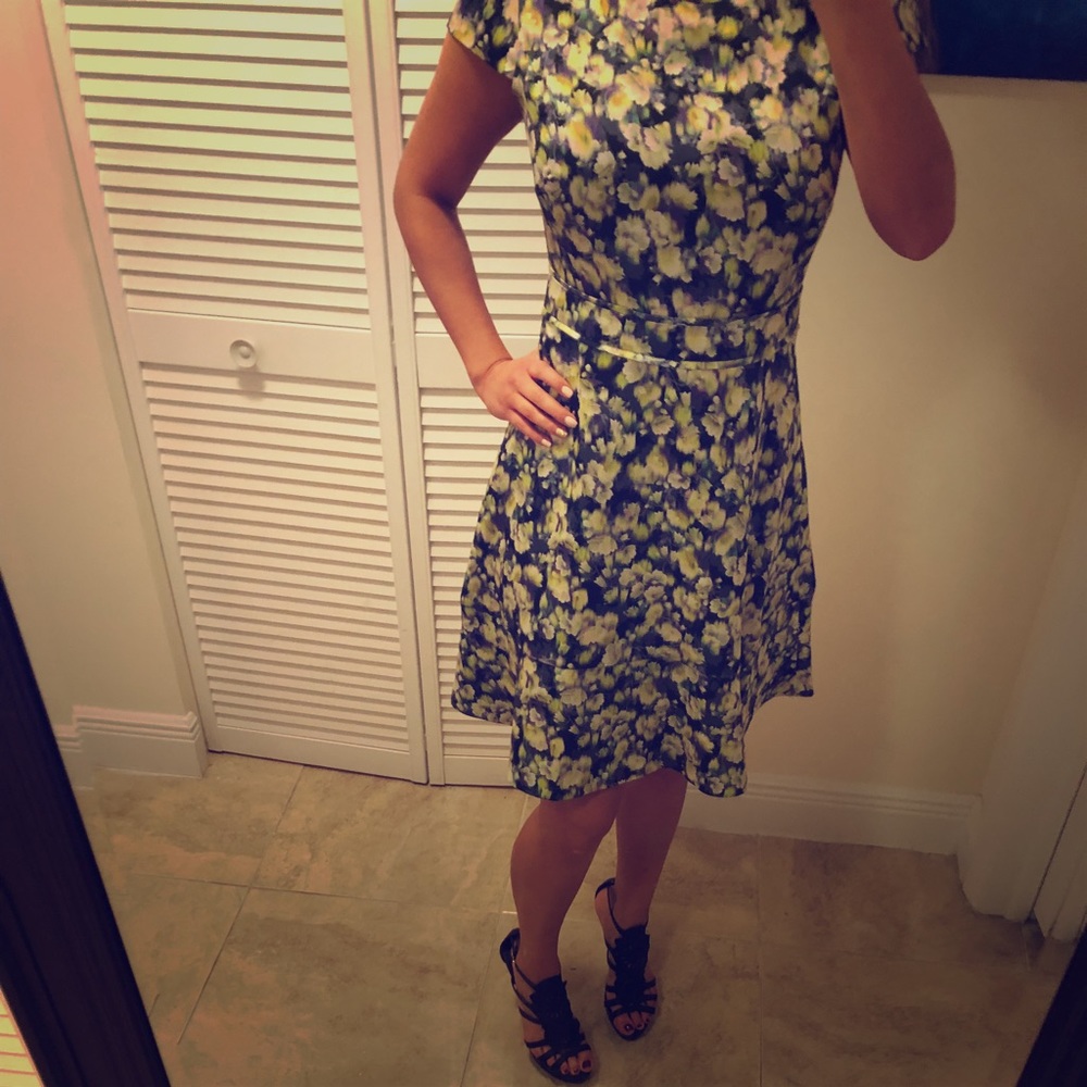 J.Crew dress